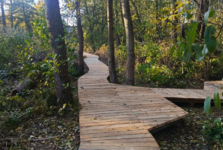 Nová dřevěná stezka podél Říčanského potoka zve k procházkám přírodou